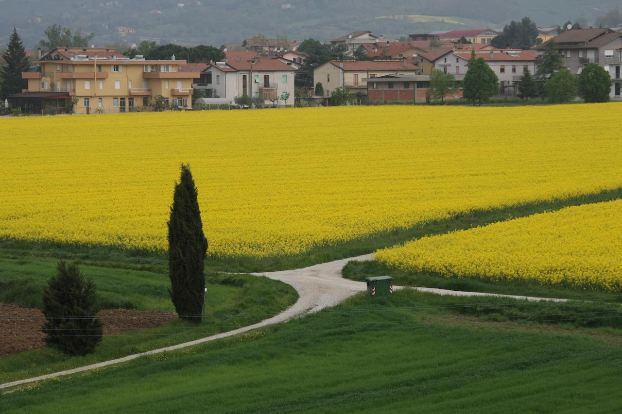 Bed and Breakfast Palazzo Santinelli SantʼAngelo in Vado Exterior foto